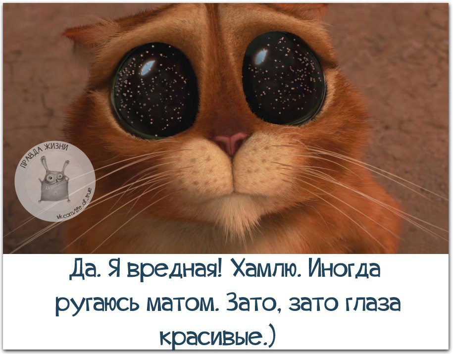   - 4  2016  14:22