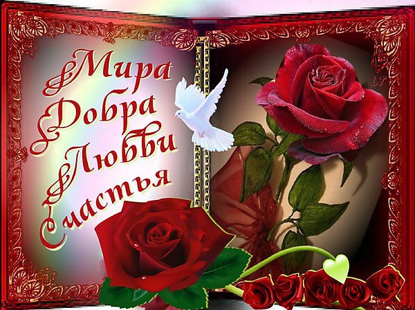 У каждого в сердце свой Храм и свой Бог, И правда своя, без сомненья! Чем больше добра в жизни ...