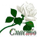 ���� ���������, ������, 61 ��� - ��������� 5 ������� 2016 � ������ ������ ��������