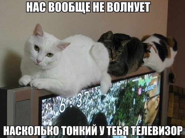 ��� ���� � ����� �� �� - 27 ����� 2016 � 21:06
