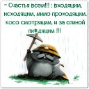  ~~,  -  13  2016    