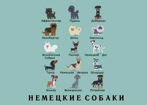  .#animal@travel.blog - 5