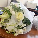 ���� ��������, ������, 48 ��� - ��������� 2 ������� 2016 � ������ ������ ��������