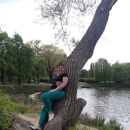 ���� �����, �����-���������, 61 ��� - ��������� 4 ������� 2016