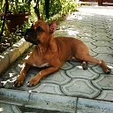 ���� Marishka, ���������, 39 ��� - ��������� 25 ������� 2016 � ������ ������ ��������