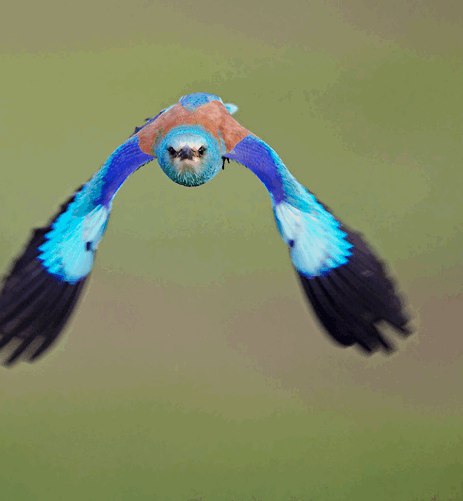    () - 9