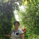  Svetlana (  ), , 62  -  23  2016    