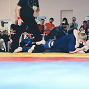  ,  , 33  -  29  2016    !)