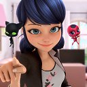 ���� ����, ���������, 25 ��� - ��������� 1 ������� 2016 � ������ ������ ��������