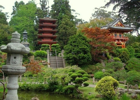 Японский сад в квартире. Что такое японский сад и как его создать в квартире