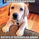 ���� �������, ������������, 53 ���� - ��������� 22 ������ 2016 � ������ ���� ����������