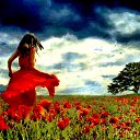  ,  -  15  2016    13    \