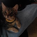 ���� �������, �����������, 31 ��� - ��������� 12 ���� 2016