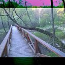 ���� �����, ������, 46 ��� - ��������� 5 ��� 2016 � ������ ������ ��������