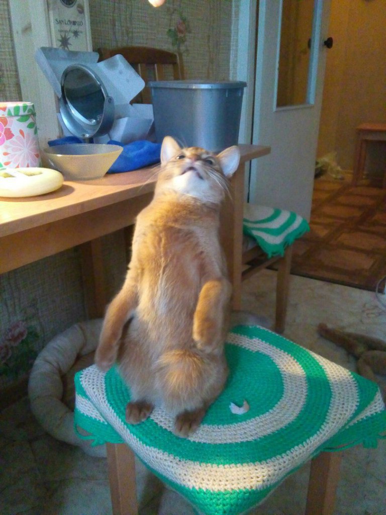  !   II   