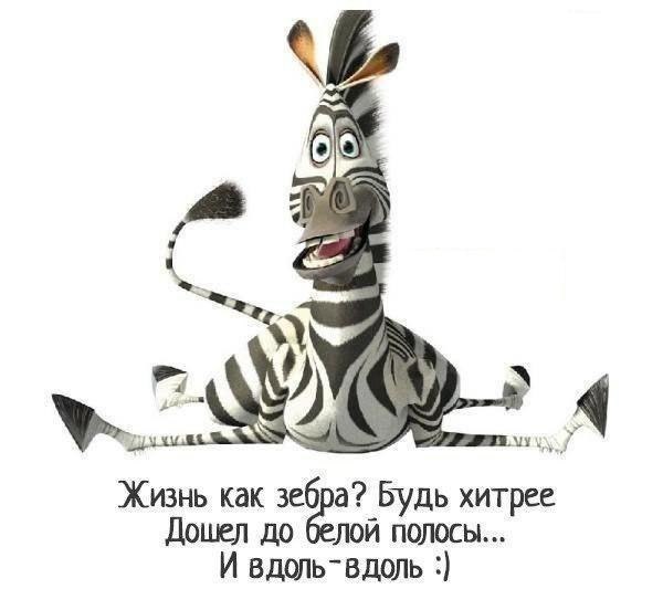 Жизнь и судьба.Так нарисованы...Белые полосы,Черные полосы,Что про себя, ты шепчешь ...