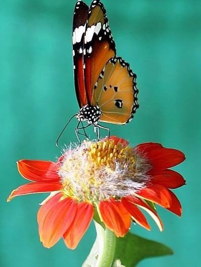 Art & Fun - 2  2016  14:14 - 5