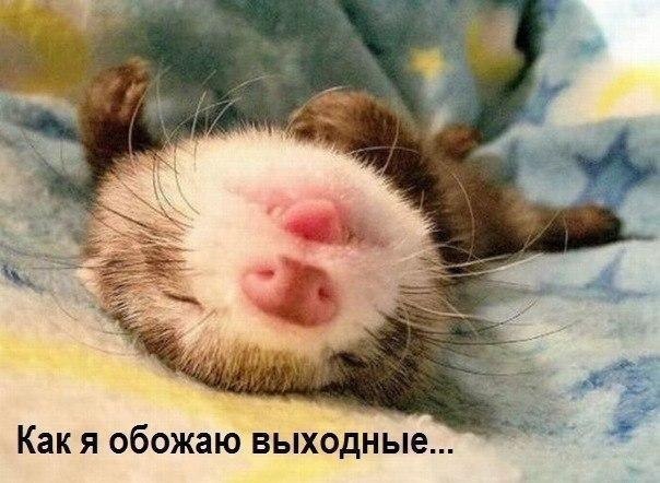    :D - 20  2016  13:32