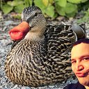 ���� �����, ���������, 34 ���� - ��������� 4 ���� 2016