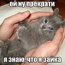 ���� ������, ����������� - ��������� 30 ������ 2016 � ������ ������ ��������