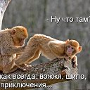 ���� ������, ������ - ��������� 4 ������ 2016 � ������ ������ ��������