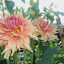  , , 70  -  14  2016    2016 .