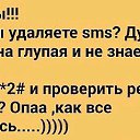 ���� ���, ������, 31 ��� - ��������� 2 ������� 2016 � ������ ������ ��������
