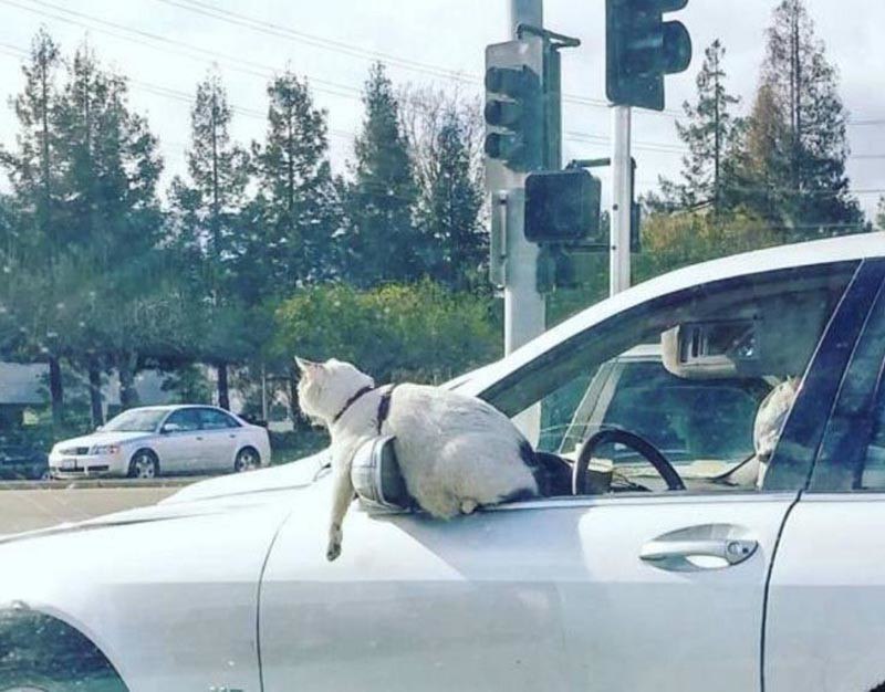 .