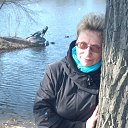 ���� ����, ����, 66 ��� - ��������� 17 ������ 2016 � ������ ���� ����������