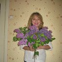 ���� ����, �������������� - ��������� 5 ��� 2016 � ������ ���� ����������