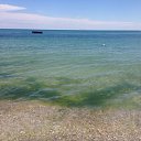 ���� ���������, ����, 36 ��� - ��������� 17 ���� 2016 � ������ ���� ����������