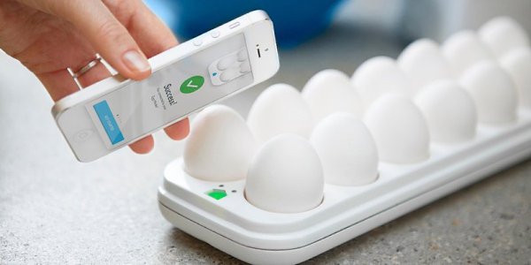 Смешные смарт-устройства.1. Quirky Egg MinderЗаботливый лоток для яиц — важная и незаменимая вещь! ...