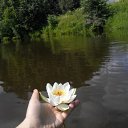  ,  -  21  2016       ,      ....