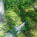 ���� ���������, ����-������, 45 ��� - ��������� 1 ���� 2016 � ������ ������ ��������