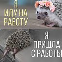 ���� �����, ������, 57 ��� - ��������� 26 ��� 2016 � ������ ������ ��������