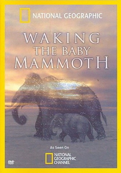 :   .(Waking the Baby Mammoth)     ...