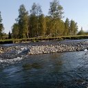 ���� ��������, Ѹ���, 68 ��� - ��������� 17 ������� 2016 � ������ ���� ����������