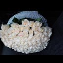 ���� �����, ����� - ��������� 15 ����� 2016