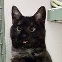 ���� �������, ������ - ��������� 16 ���� 2016 � ������ ������ ��������