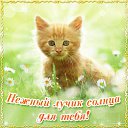 ���� �������, �����, 40 ��� - ��������� 2 ���� 2016 � ������ �������� ��������