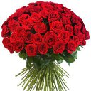 ���� �����, ������, 48 ��� - ��������� 11 ����� 2016 � ������ ���� ����������