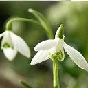 ���� ��������� ���������, ��������� - ��������� 16 ����� 2016 � ������ ���� ����������