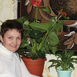 ���� �����, �������, 63 ���� - ��������� 7 ��� 2016