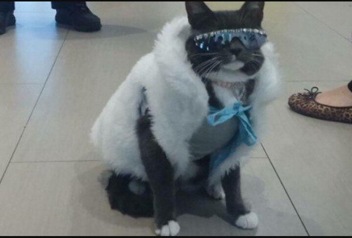    :