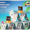 ���� ����, ������ - ��������� 8 ���� 2016 � ������ �������� �������-�������