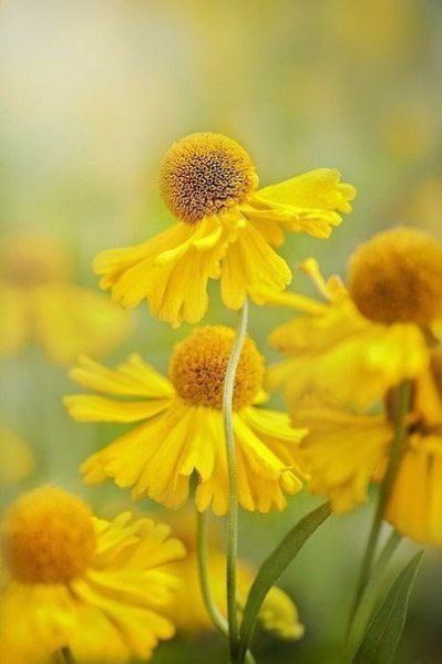 "  ..." - 13  2016  05:08