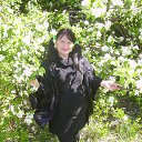  ,  , 67  -  17  2016