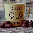 ���� �����, ��� - ��������� 12 ���� 2016 � ������ ������ ��������