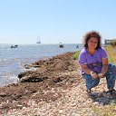  ,  -  7  2016    2016