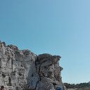  , , 50  -  11  2016    